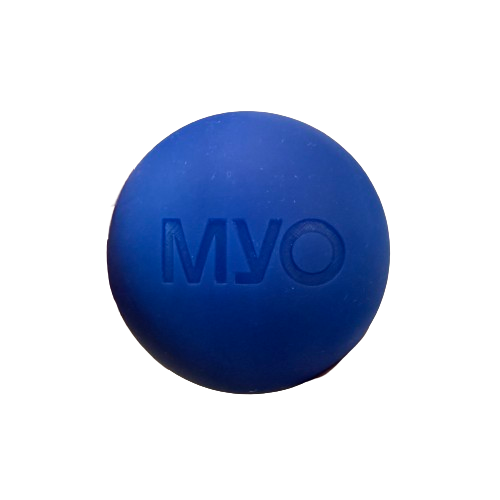 Recovery Ball - Blue